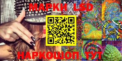 гидра Новозыбков