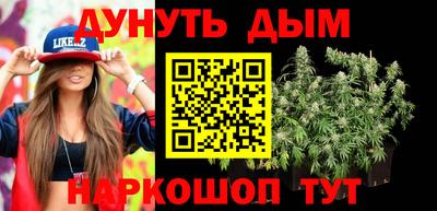 гидра Новозыбков