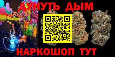 гидра Новозыбков