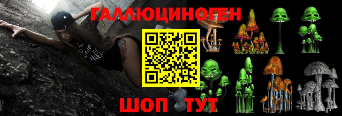 Галлюциногенные грибы прущие грибы  купить   Вход с VPN  Тобольск  Псилоцибиновые грибы Psilocybine cubensis 